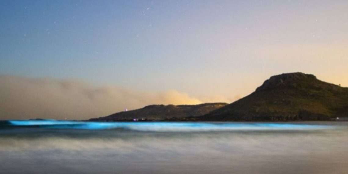 El Mar De Ardora Vuelve A Iluminar De Un Azul Espectacular La Costa De