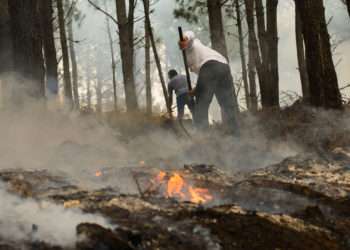 Voluntarios trabajan para apagar los incendios de octubre de 2017 en Baiona  // Fabio Alonso