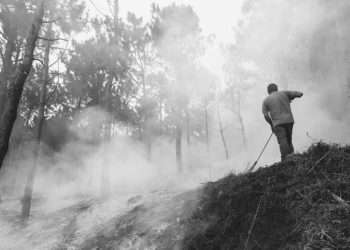 Os lumes queimaron 49.000 hectáreas en toda Galicia // Fabio Alonso