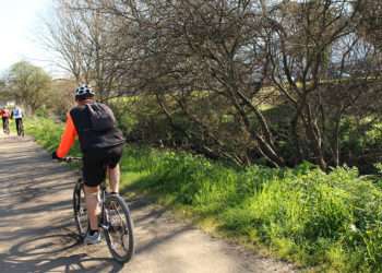 Un vecino en bicicleta por el paseo del Lagares // Archivo