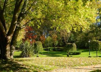 Parque de Castrelos // Turismo Rías Baixas