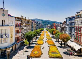 Avenida da Liberdade //  Camara Municipal de Braga