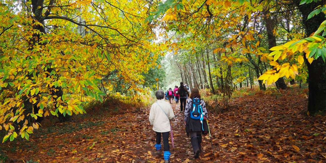 Una de las actividades de Camiño a Camiño