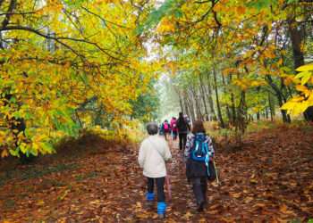 Una de las actividades de Camiño a Camiño