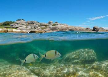 Playa de las Rías Baixas // iStock / Damocean