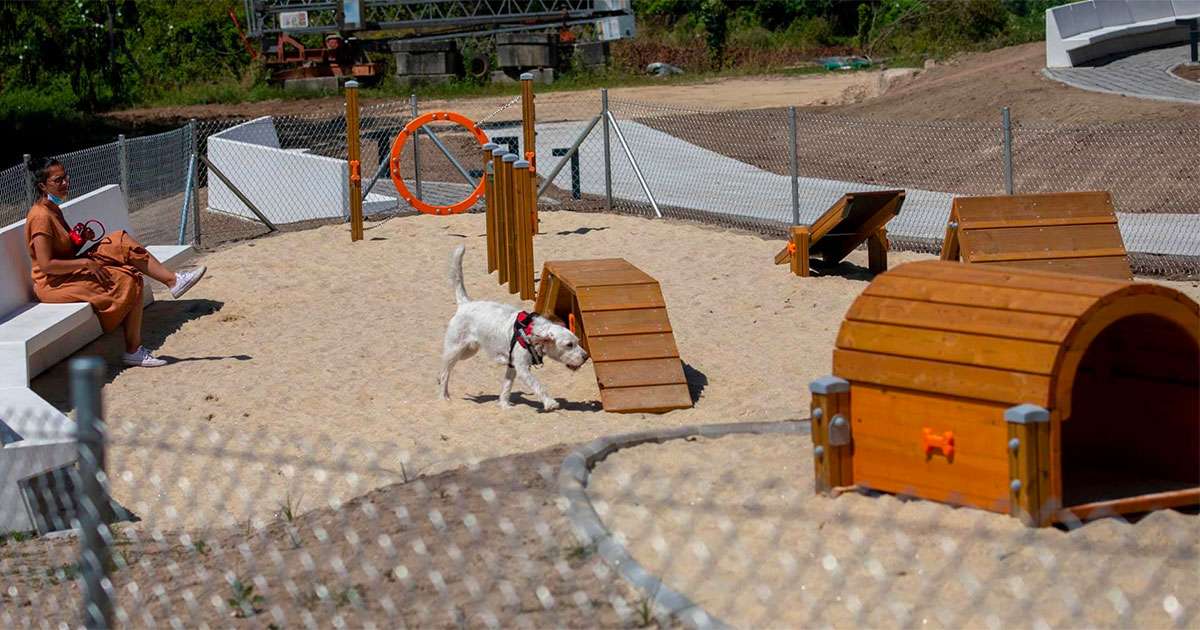Gondomar inaugura el “mayor parque lúdico canino del sur de la provincia” -  Metropolitano