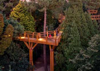 Treetop Walk // Serralves