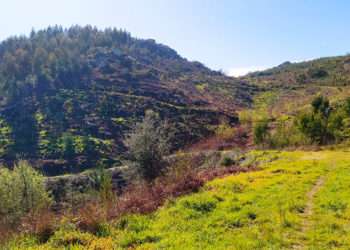 Foto de la Comunidad de Montes de Coruxo.