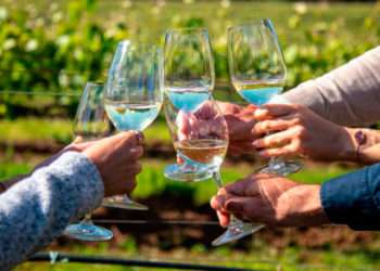 Naturaleza y vino, cinco planes de enoturismo que no te puedes perder en el área de Vigo