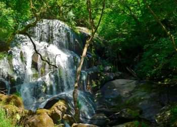 La cascada sorprende por sus dimensiones y el fuerte sonido del agua al caer.