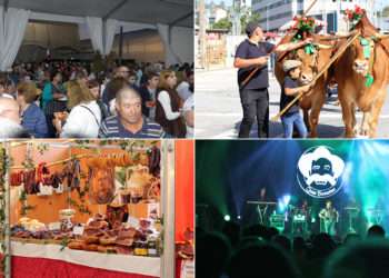 Diferentes actividades de la pasada edición de las Festas da Colheita // CM Vila Verde