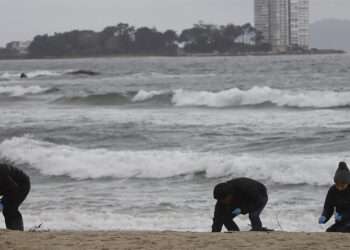 Voluntarios buscando pellets en Samil // Adrián Irago - Europa Press