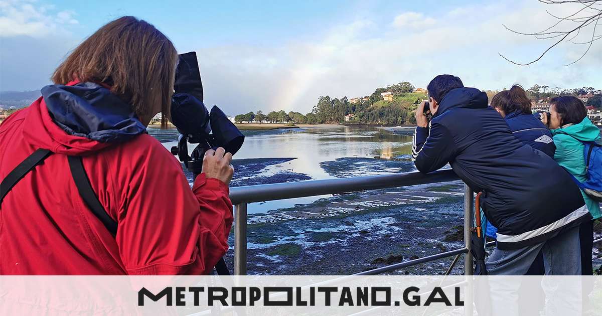 Abre El Plazo Para La Ruta Gratuita Voando Nas R As Baixas Por El L Rez Y Combarro Lourido