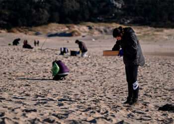 Voluntarios participan en la recogida de pellets de plástico en una playa de Muros (A Coruña). - ELENA FERNÁNDEZ - EUROPA PRESS