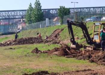 Imagen de las obras // AVEECA