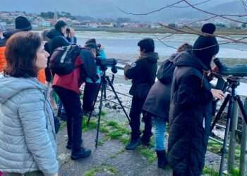 Ruta por Fornelos, Covelo y A Lama para contemplar las aves que habitan en la Serra do Suído