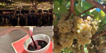 Dos días de vino gratis y mucha comida en la Festa do Viño Novo de Arantei, en Salvaterra
