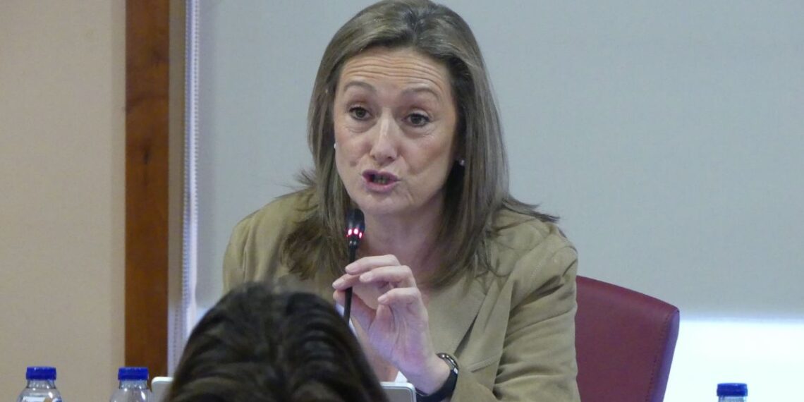 El PP de Vigo critica que Caballero "necesita que no haya acuerdos" para "mantener el victimismo"