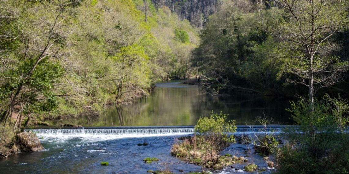 Foto: Xunta de Galicia