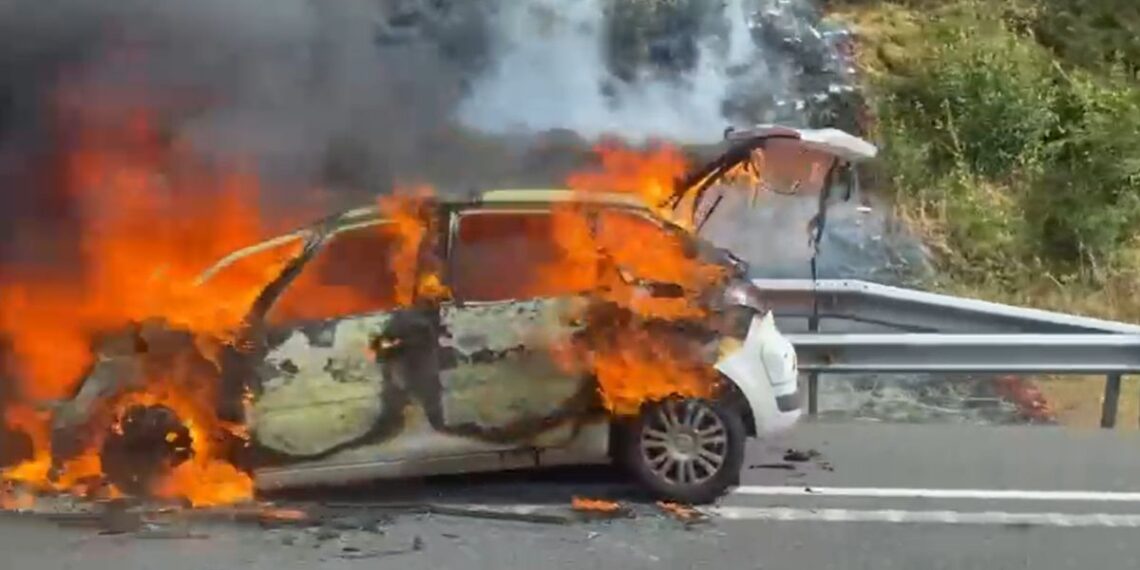 Foto: Grupos de Emergencias