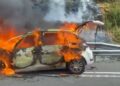Foto: Grupos de Emergencias