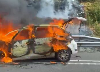 Foto: Grupos de Emergencias