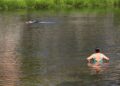 Dos bañistas en el río de Leiro en plena ola de calor - EUROPA PRESS