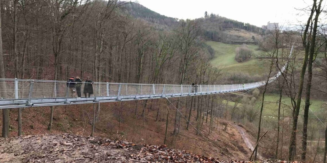 Uno de los puentes colgantes construidos por el grupo en Alemania (Foto: Crestageo)