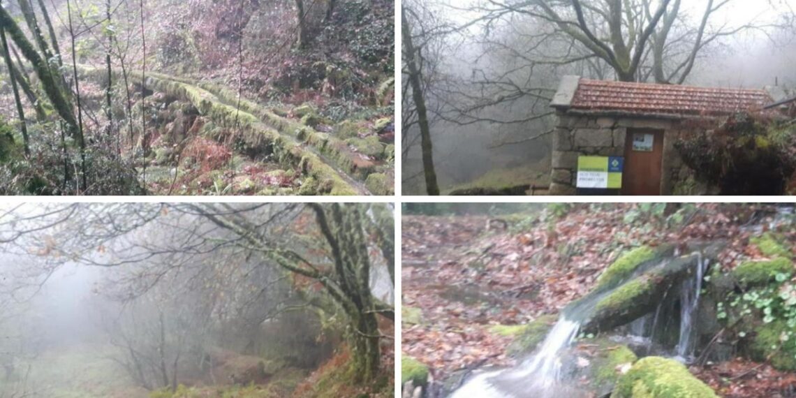 Fotos: Proyecto del Concello de Mondariz