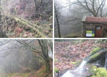 Fotos: Proyecto del Concello de Mondariz