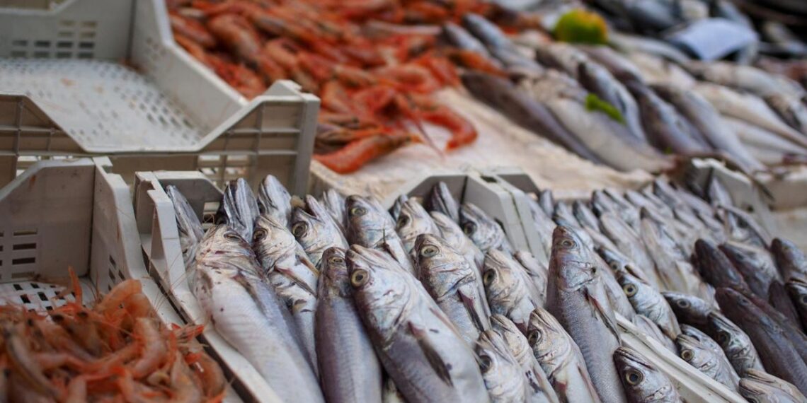 Abre el plazo para descargar el Bono Peixe de Galicia: cuantía, cómo usarlo y dónde