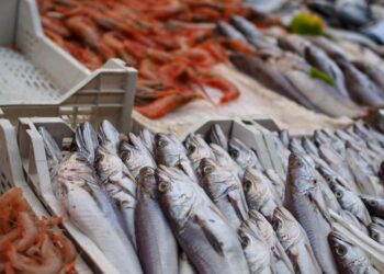 Abre el plazo para descargar el Bono Peixe de Galicia: cuantía, cómo usarlo y dónde