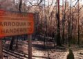 Estado de Chandebrito pocos días después de los incendios del 15 de octubre de 2017