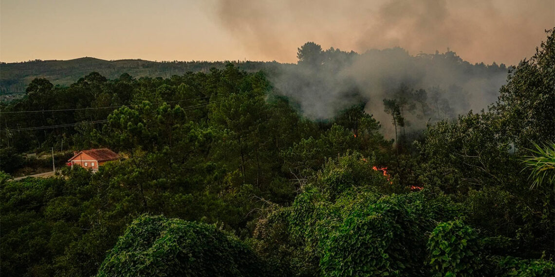 Incendio declarado en Arbo // EP