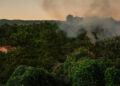 Incendio declarado en Arbo // EP