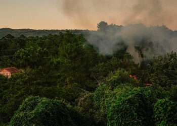 Incendio declarado en Arbo // EP