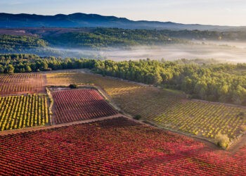 Turisme de Catalunya