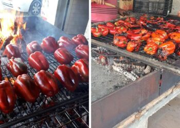Foto: Asociación Amigos do Pemento de Guláns