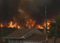 Incendio forestal se acerca a Vilela, a 15 de agosto de 2025, en Vilela, Cualedro, Monterrei, Ourense, Galicia (España).
- Rosa Veiga - Europa Press