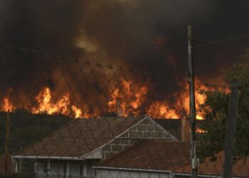 Incendio forestal se acerca a Vilela, a 15 de agosto de 2025, en Vilela, Cualedro, Monterrei, Ourense, Galicia (España).
- Rosa Veiga - Europa Press