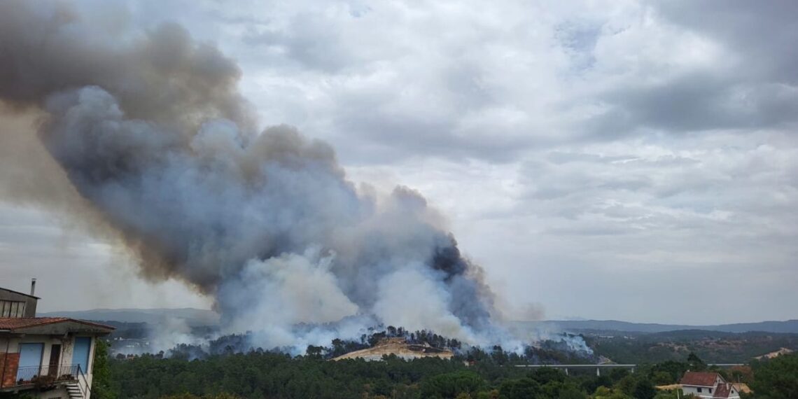 Incendio próximo a las vías del tren en Ourense