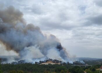 Incendio próximo a las vías del tren en Ourense