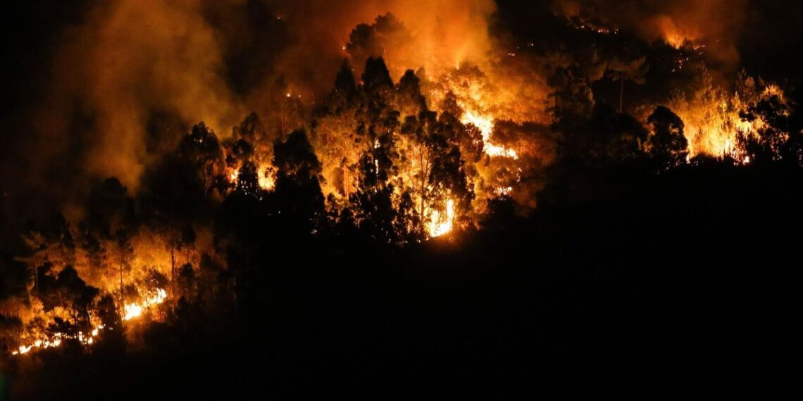 Llamas del fuego de Quiroga.
- Carlos Castro - Europa Press