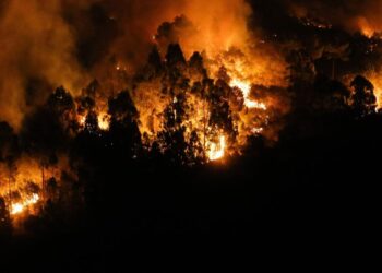 Llamas del fuego de Quiroga.
- Carlos Castro - Europa Press