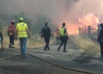 Foto: Guardia Civil