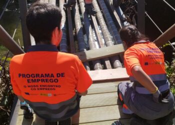 Foto: Concello do Porriño