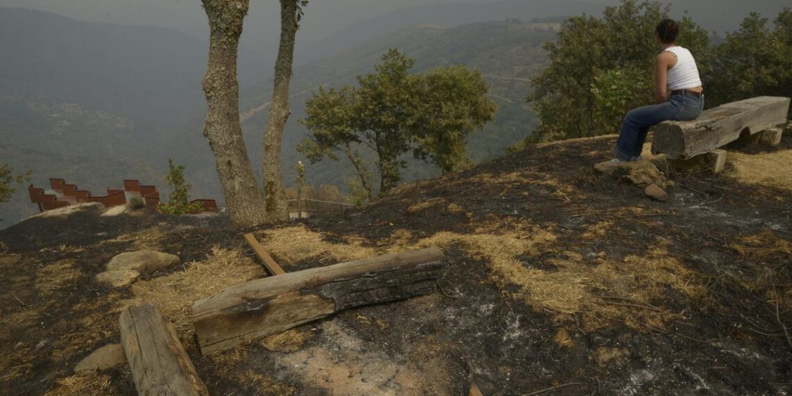 Varios vecinos observan sus fincas tras el paso del fuego, a 13 de agosto de 2025, en Somoza, Pobra de Trives, Ourense, Galicia (España).
- Rosa Veiga - Europa Press