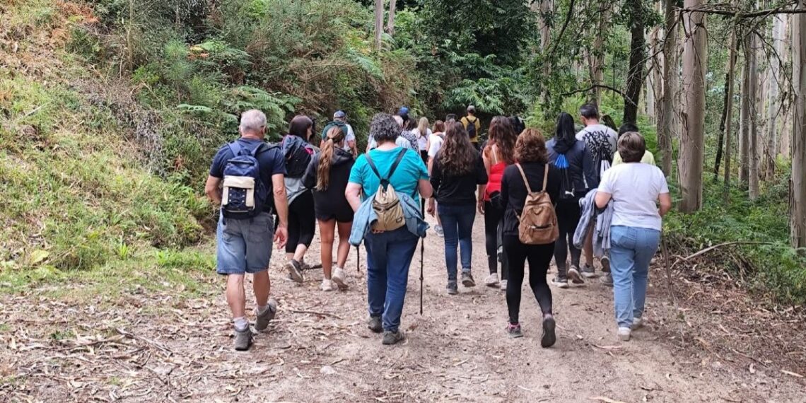 Foto: Concello de Tomiño