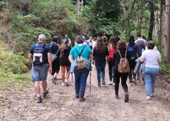 Foto: Concello de Tomiño