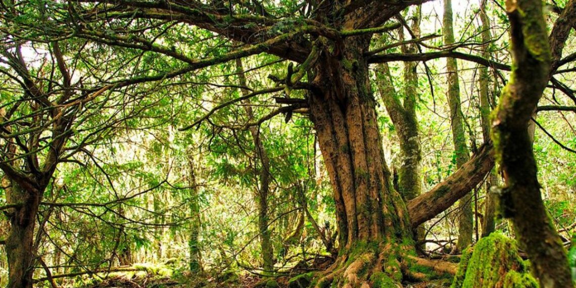 Foto: Turismo de Galicia